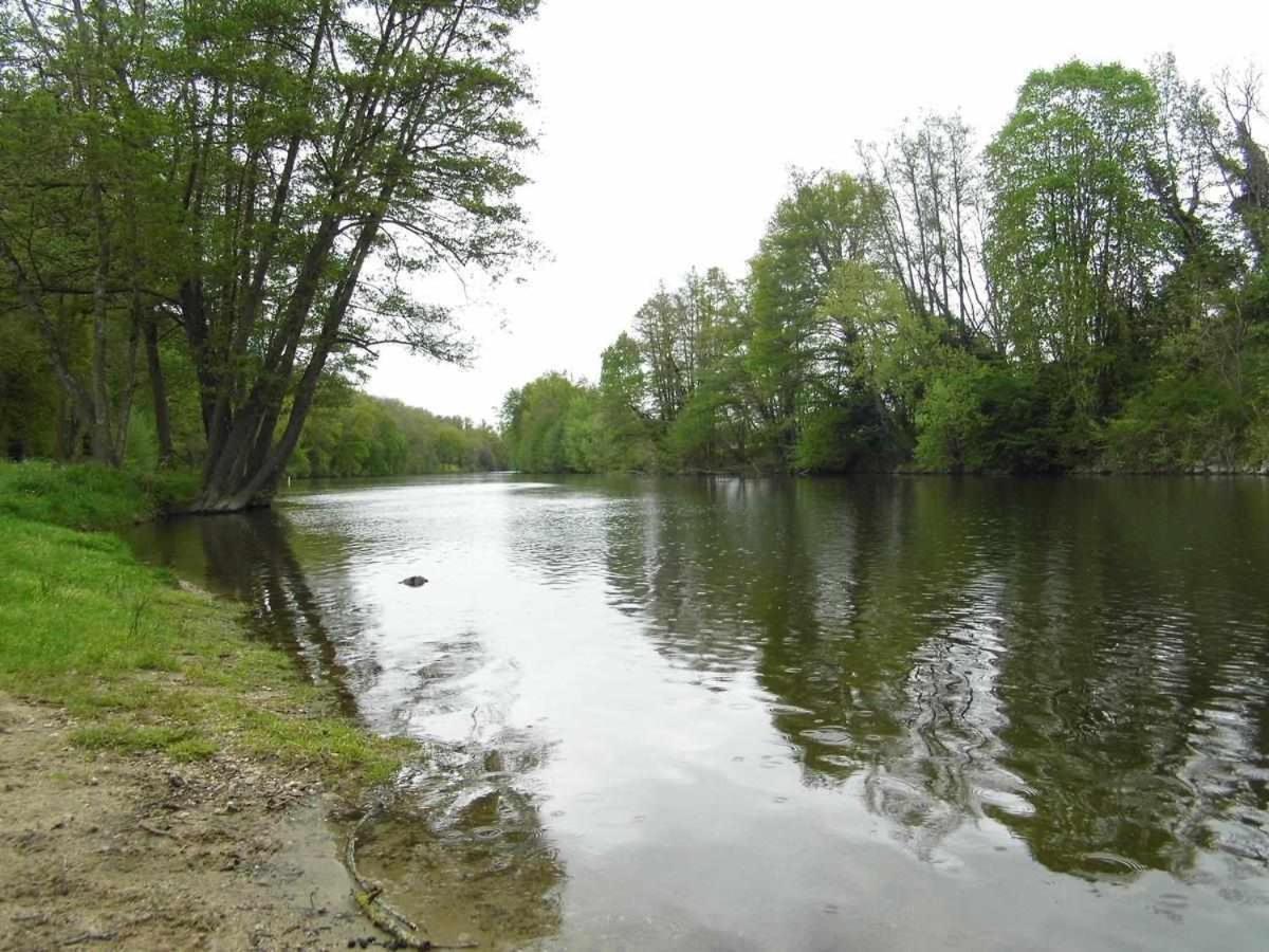 Joli Petit T2 Calme Au Bord De Leau Villa Vieille-Brioude Eksteriør billede